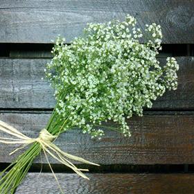 fwthumb32 bridesmaids handtie 25.00.jpg